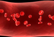 Sinh lý bệnh thiếu máu và nguyên nhân