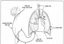 Rối loạn hô hấp
