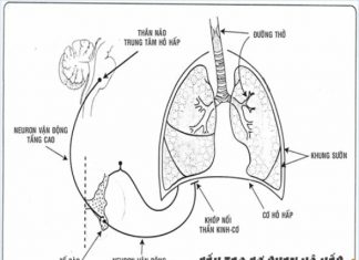 Rối loạn hô hấp