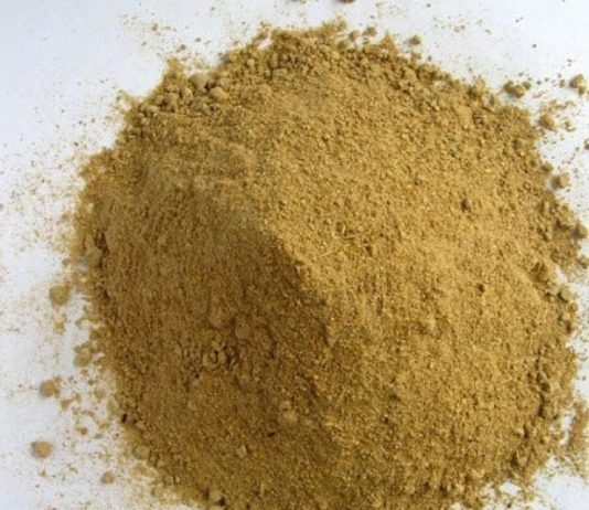 Thuốc bột – định nghĩa và yêu cầu chất lượng