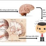 RỐI LOẠN CƠ BẢN Ở VI TUẦN HOÀN. RỐI LOẠN Ở VÁCH MẠCH