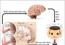 RỐI LOẠN CƠ BẢN Ở VI TUẦN HOÀN. RỐI LOẠN Ở VÁCH MẠCH