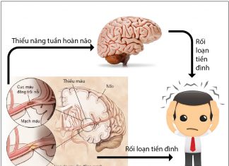 RỐI LOẠN CƠ BẢN Ở VI TUẦN HOÀN. RỐI LOẠN Ở VÁCH MẠCH