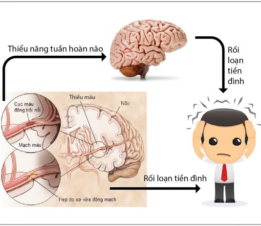 RỐI LOẠN CƠ BẢN Ở VI TUẦN HOÀN. RỐI LOẠN Ở VÁCH MẠCH