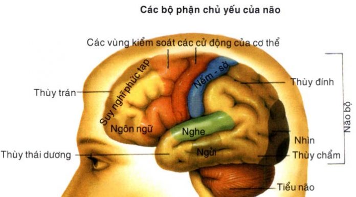 CÁC CHẤT TRUNG GIAN DẪN TRUYỀN CỦA HỆ THẦN KINH TRUNG ƯƠNG VÀ KÊNH ION
