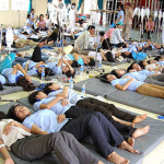 Ngộ độc thực phẩm do Salmonella