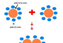 Các tương kỵ lý, hóa học