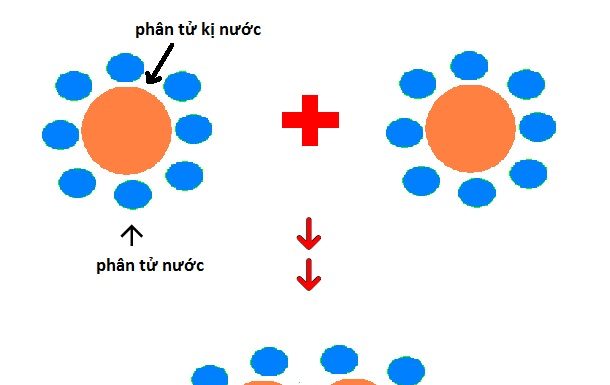 Các tương kỵ lý, hóa học