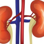 Cảnh báo 5 nhóm đối tượng dễ bị suy giảm chức năng thận