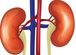 Cảnh báo 5 nhóm đối tượng dễ bị suy giảm chức năng thận