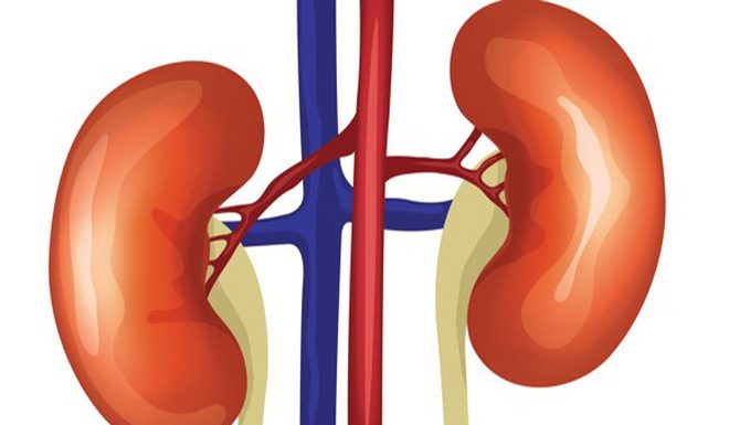 Cảnh báo 5 nhóm đối tượng dễ bị suy giảm chức năng thận