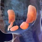 Cách đánh giá một diễn đàn seo chất lượng