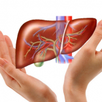 Rối loạn tuần hoàn và chức phận tạo máu của gan