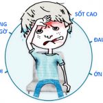 Tư thế giải phẫu và định hướng vị trí giải phẫu