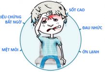 Tư thế giải phẫu và định hướng vị trí giải phẫu