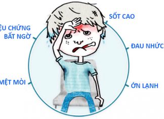 Tư thế giải phẫu và định hướng vị trí giải phẫu