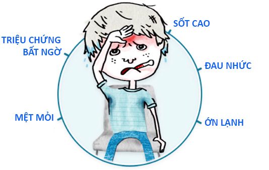 Tư thế giải phẫu và định hướng vị trí giải phẫu