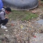 nguồn phát sinh kim loại nặng từ nông nghiệp và ảnh hưởng của chúng tới sinh vật