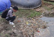 nguồn phát sinh kim loại nặng từ nông nghiệp và ảnh hưởng của chúng tới sinh vật