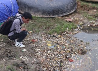 nguồn phát sinh kim loại nặng từ nông nghiệp và ảnh hưởng của chúng tới sinh vật