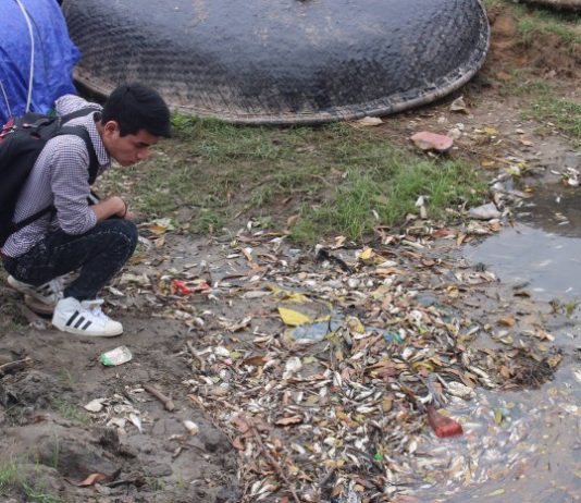 nguồn phát sinh kim loại nặng từ nông nghiệp và ảnh hưởng của chúng tới sinh vật