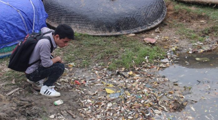 nguồn phát sinh kim loại nặng từ nông nghiệp và ảnh hưởng của chúng tới sinh vật