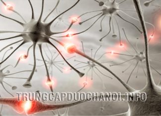 Thuốc chống động kinh