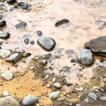 Các nguồn phát sinh kim loại nặng trong tự nhiên