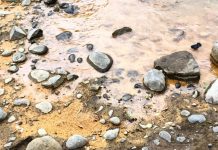 Các nguồn phát sinh kim loại nặng trong tự nhiên