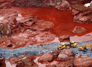 tình hình ô nhiễm kim loại nặng trên thế giới và tại Việt Nam