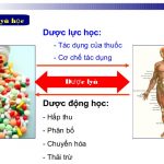 Tương tác dược lực học