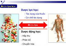 Tương tác dược lực học