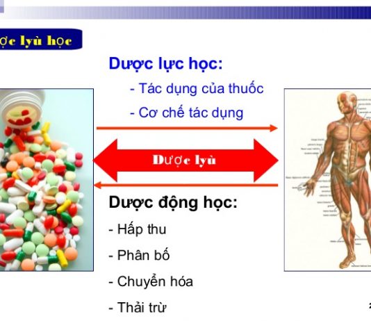 Tương tác dược lực học