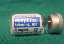 Các opioid tự nhiên