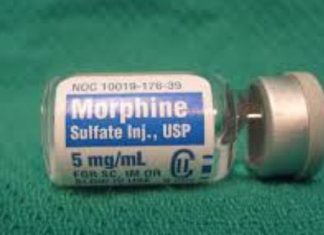 Các opioid tự nhiên