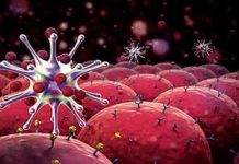 Giải phẫu cơ mô cái và cơ mô út trên bàn tay mỗi chúng ta