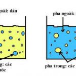 nhũ tương thuốc, định nghĩa, phương pháp điều chế, yêu cầu chất lượng và bảo quản
