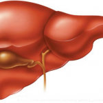 Dinh dưỡng trong bệnh viêm gan cấp