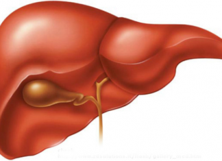 Dinh dưỡng trong bệnh viêm gan cấp
