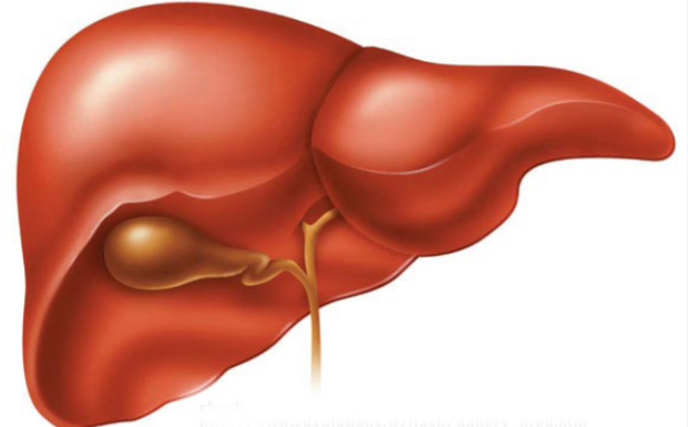 Viêm màng não do não mô cầu