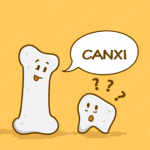 Vai trò dinh dưỡng của Canxi Canxi
