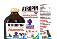 Thuốc ức chế hệ muscarinic – Atropin