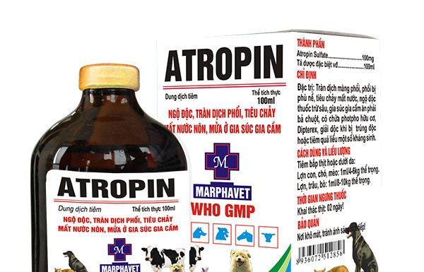 Thuốc ức chế hệ muscarinic – Atropin