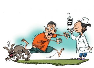 Những hiểu biết về bệnh dại bệnh dại