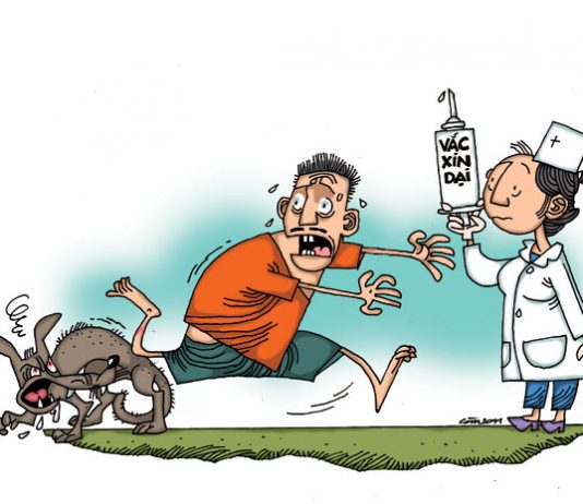 Những hiểu biết về bệnh dại bệnh dại