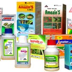 Thuốc bảo vệ thực vật