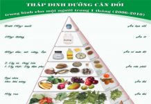 Vai trò dinh dưỡng của Glucid