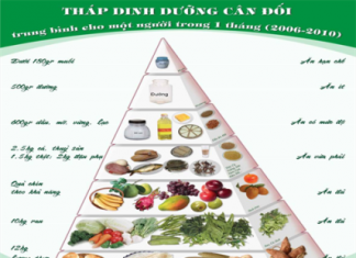 VAI TRÒ DINH DƯỠNG VÀ NHU CẦU CỦA GLUCID ĐỐI VỚI CƠ THỂ.