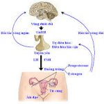 Những nguyên nhân gây ra bệnh cảnh suy gan cấp trên lâm sàng