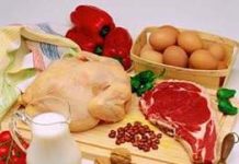 VAI TRÒ DINH DƯỠNG CỦA PROTEIN ĐỐI VỚI CƠ THỂ.